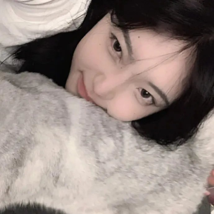 白山新歌