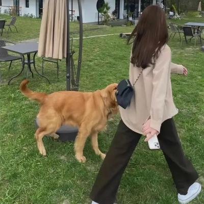 这一刻，我要世界看见